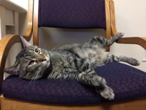 Dave taking it easy