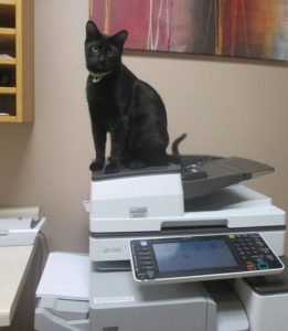 Watson supervising the office