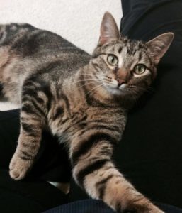 Rolly posing for the camera